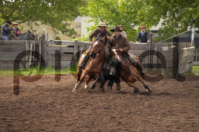 Photo of knnevesrvjpd3zlaoct2604k