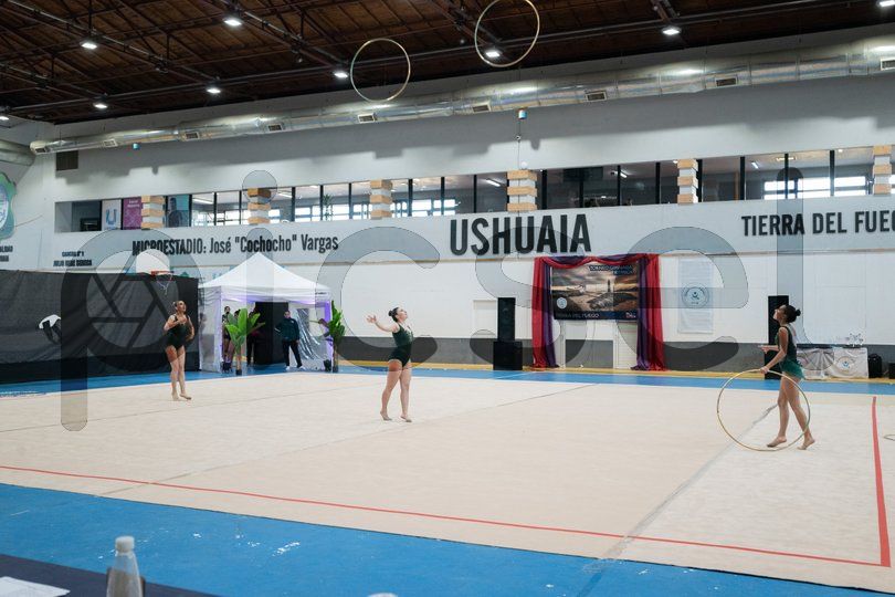 Photo of se4xjr8z2e5hr48vvvdtc1js