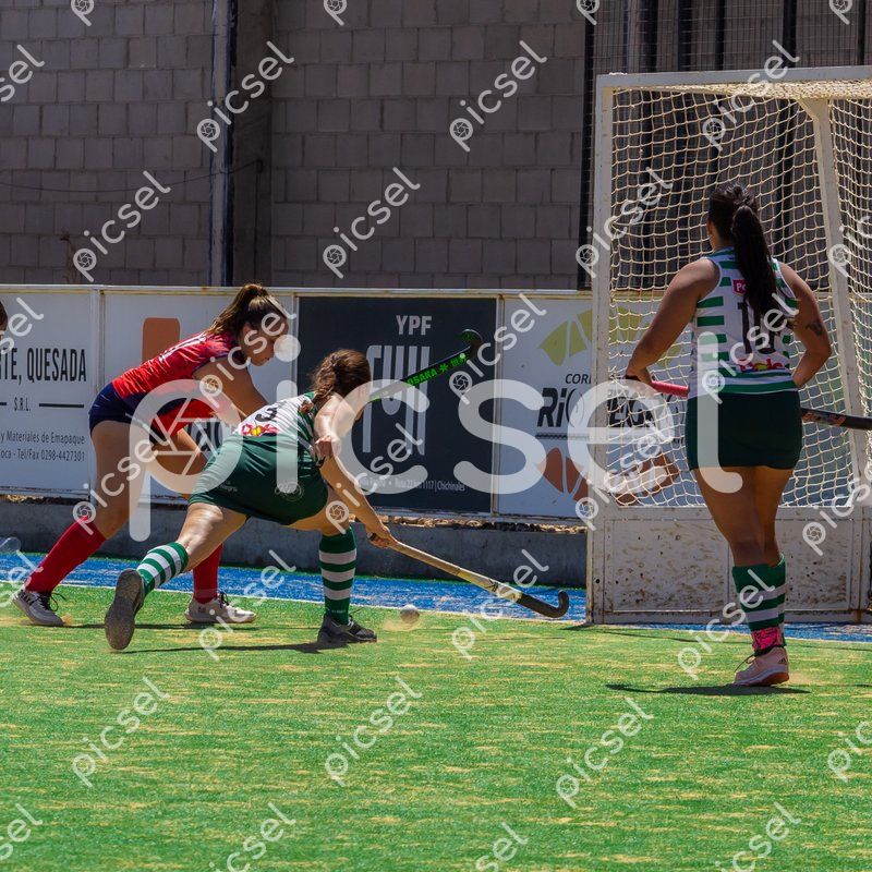 Photo of qtld7wm7icqe1qja9idjh887