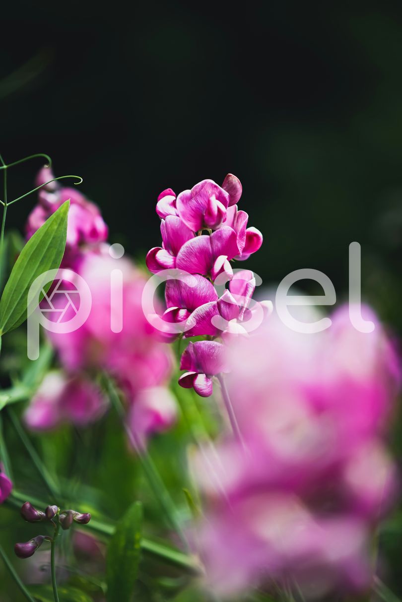 Photo of nyua98cjuhz8drk7ifecp1zq