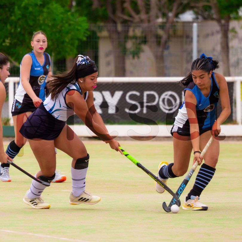 Photo of r4e5gqfm3tnz2leu8o4jrp52