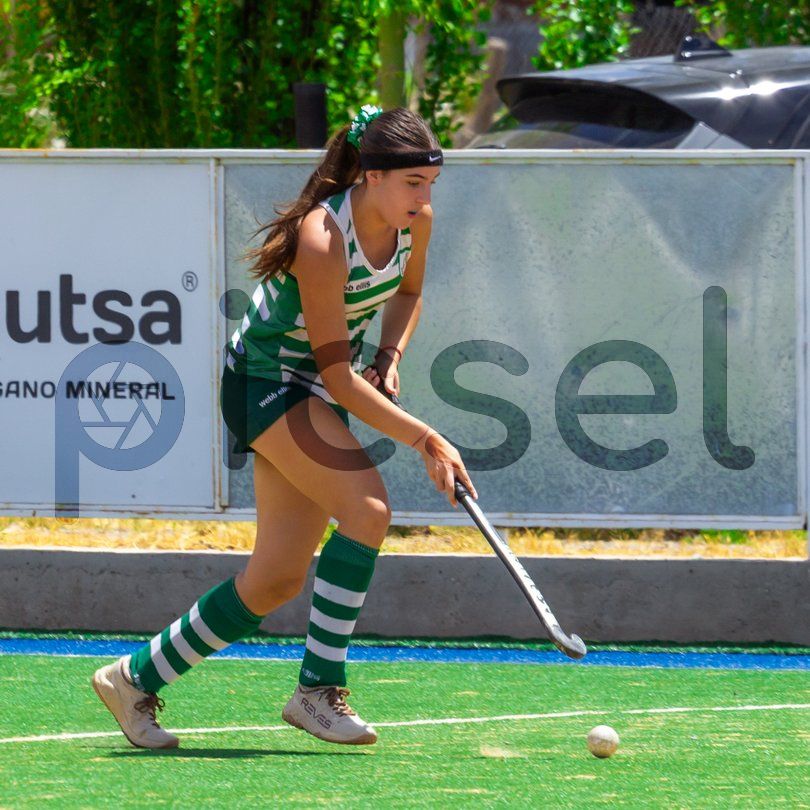 Photo of issszcy162r1mega3tp9qyy4