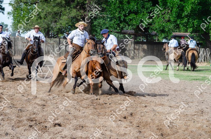 Photo of l99vns2ts13m9crqqwmpdhjf