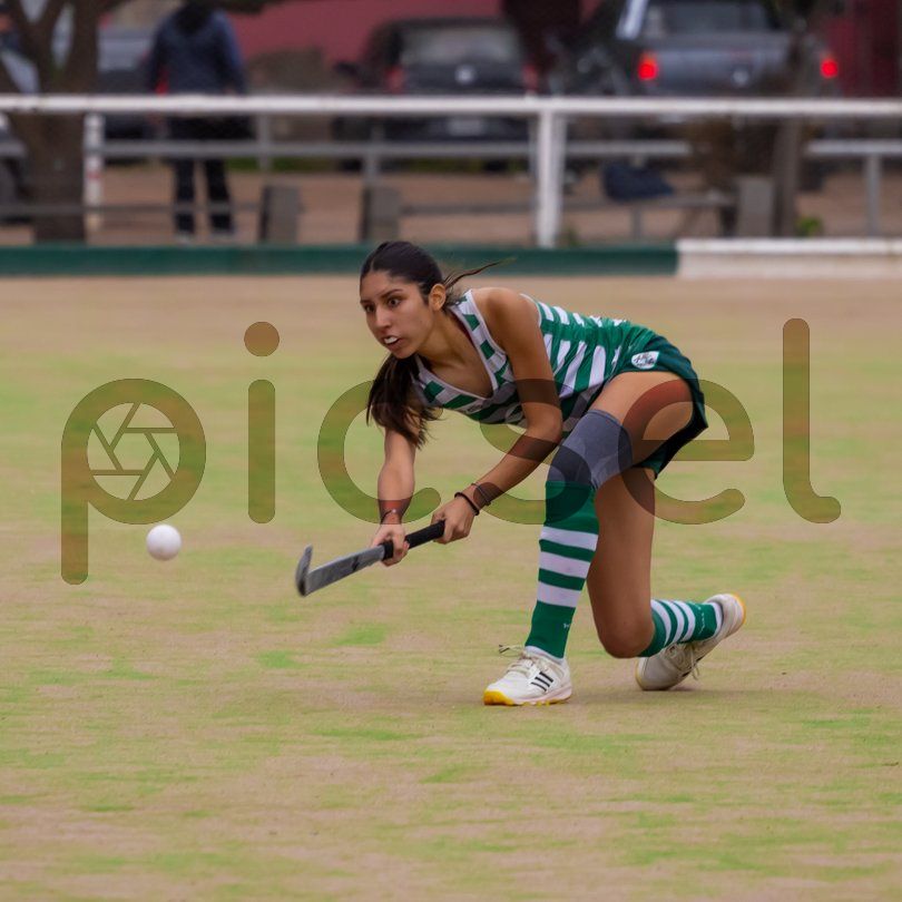 Photo of um1sdt0mydbxmupq0rhkcb8x