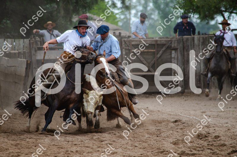 Photo of fq9ula6dwevc6kufmrqf46k5