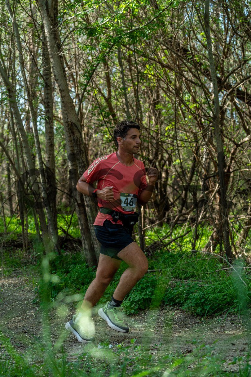 Photo of gd3y89lmtk718pdlhs4kiiud