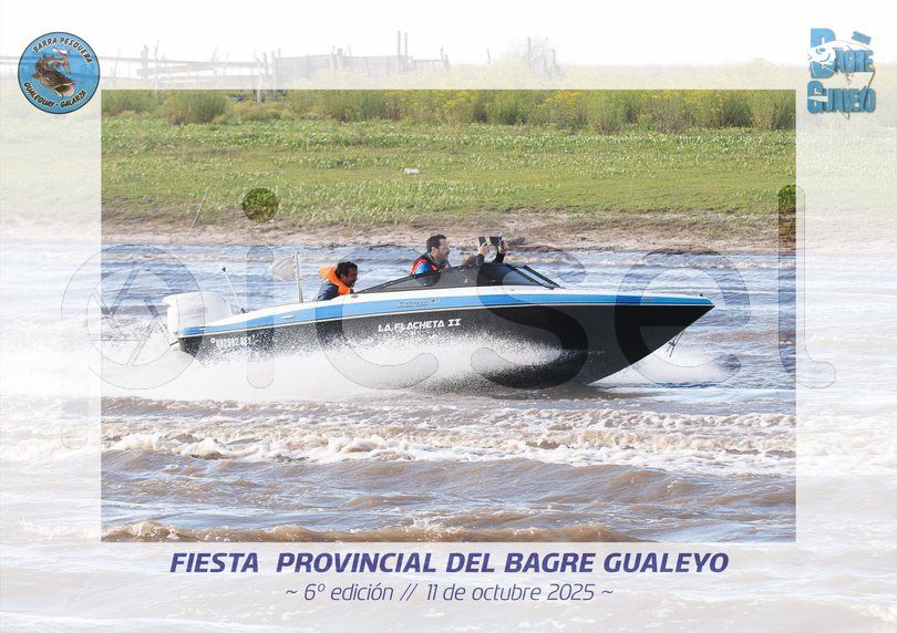 Photo of i3ysh82l3yz3m7nfq8r7wqaf