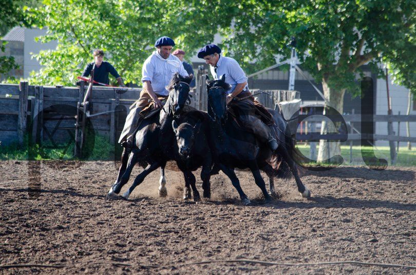 Photo of sekadiyp1lmpofo3ukioyvkl