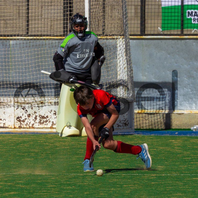 Photo of a1u881koux7jm5y9cb428ejk