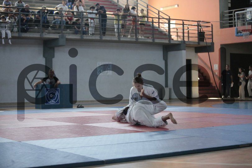 Photo of pig7uz483sxbwszyo28nlhkx