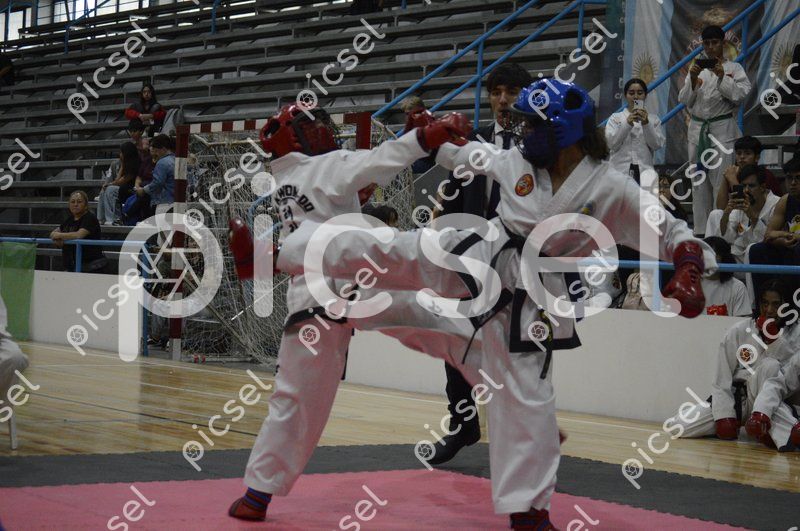 Photo of zc925mcreehbow7u1199hf4l