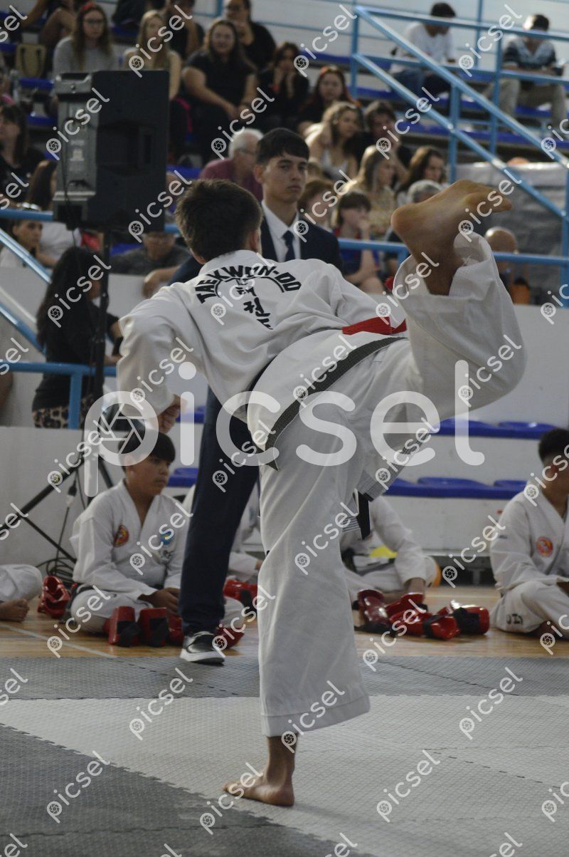 Photo of lbqz1ke1j2u3gfh6pw9lbs8d