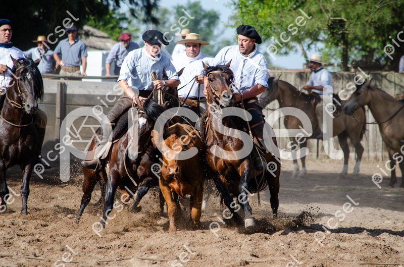 Photo of nneq726tidooh6imrehxsbgp