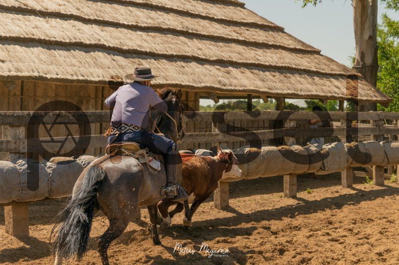 Photo of a4spgirk6md9prwhr76t4meh