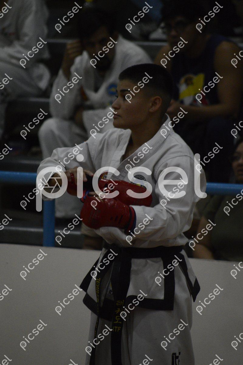 Photo of f13opa9gc9p4ag2uleszs5v4