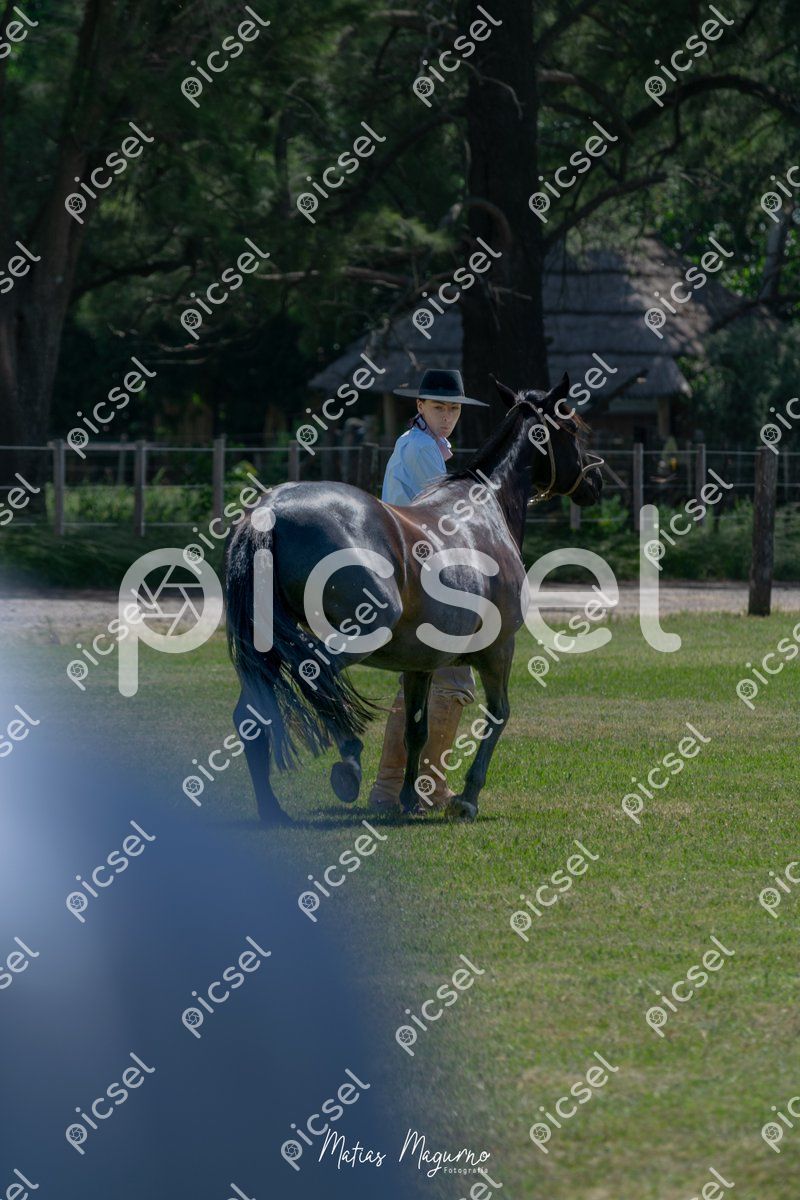 Photo of ldmuxsrm5j61977mp19alov7