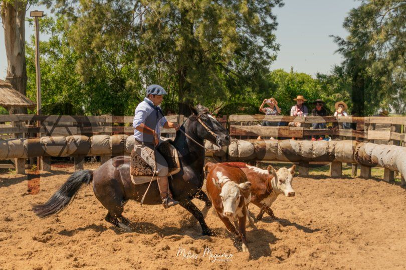 Photo of ss4ah8j7p8xvhh3b60lscyhw