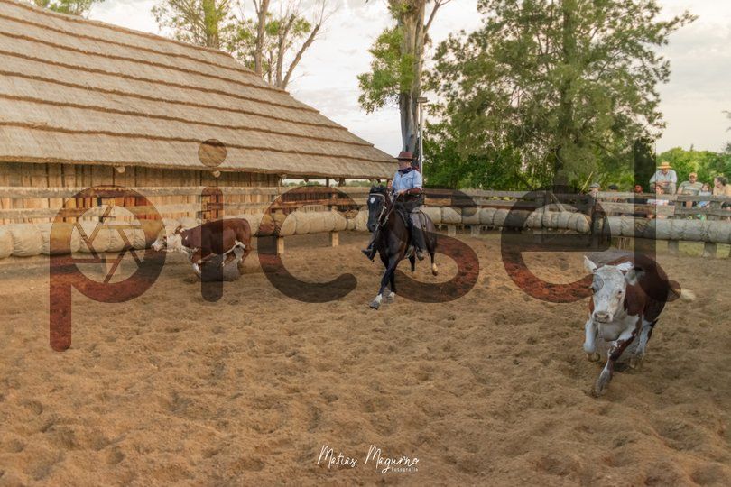 Photo of w9i5h4jsfpxwx9pz48lajxfx