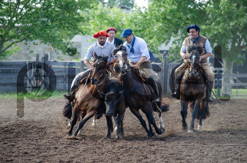 Photo of u4xu3vd88m0mnwdwc8vnytms