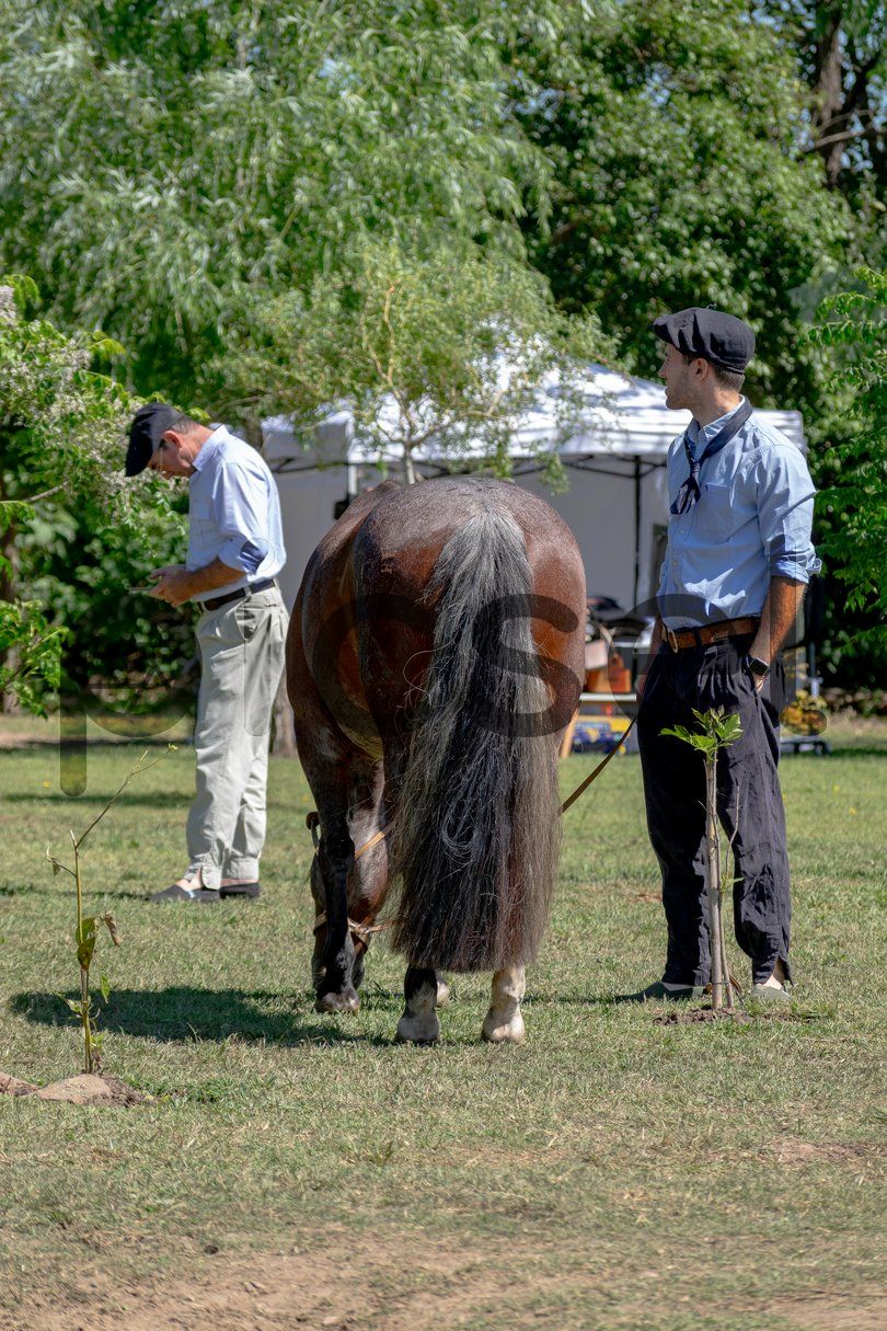 Photo of i5s6ade68hfqdbbzzo2tlcaa