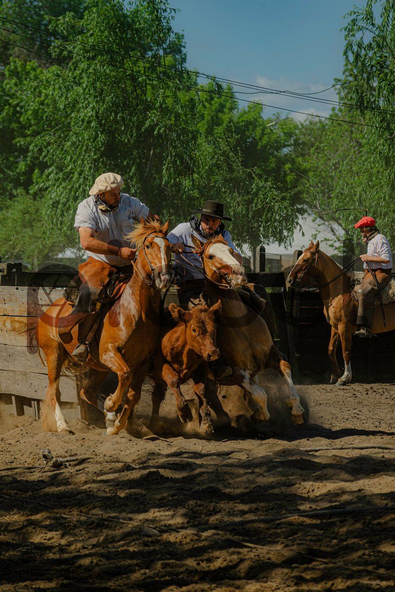 Photo of g1wtrrsen9f1y5hgkblh30t9