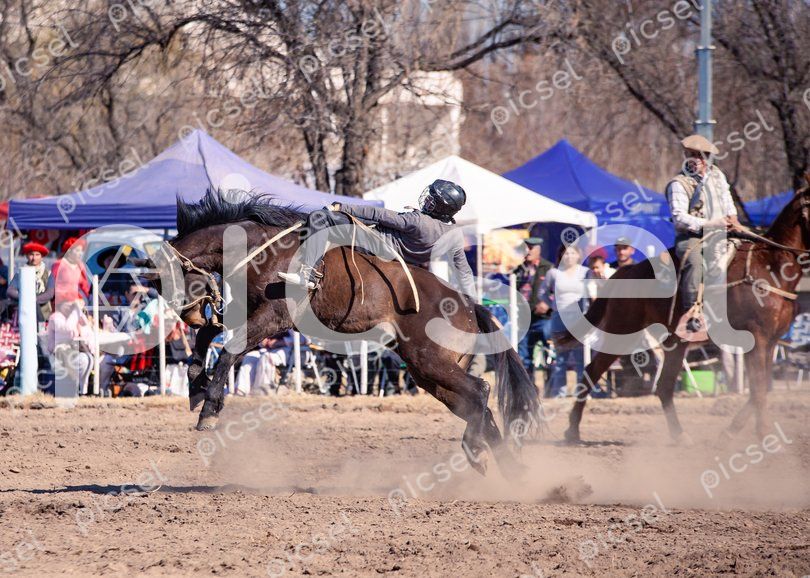 Photo of tqy7doar17yxlh2ps5l7h3v6