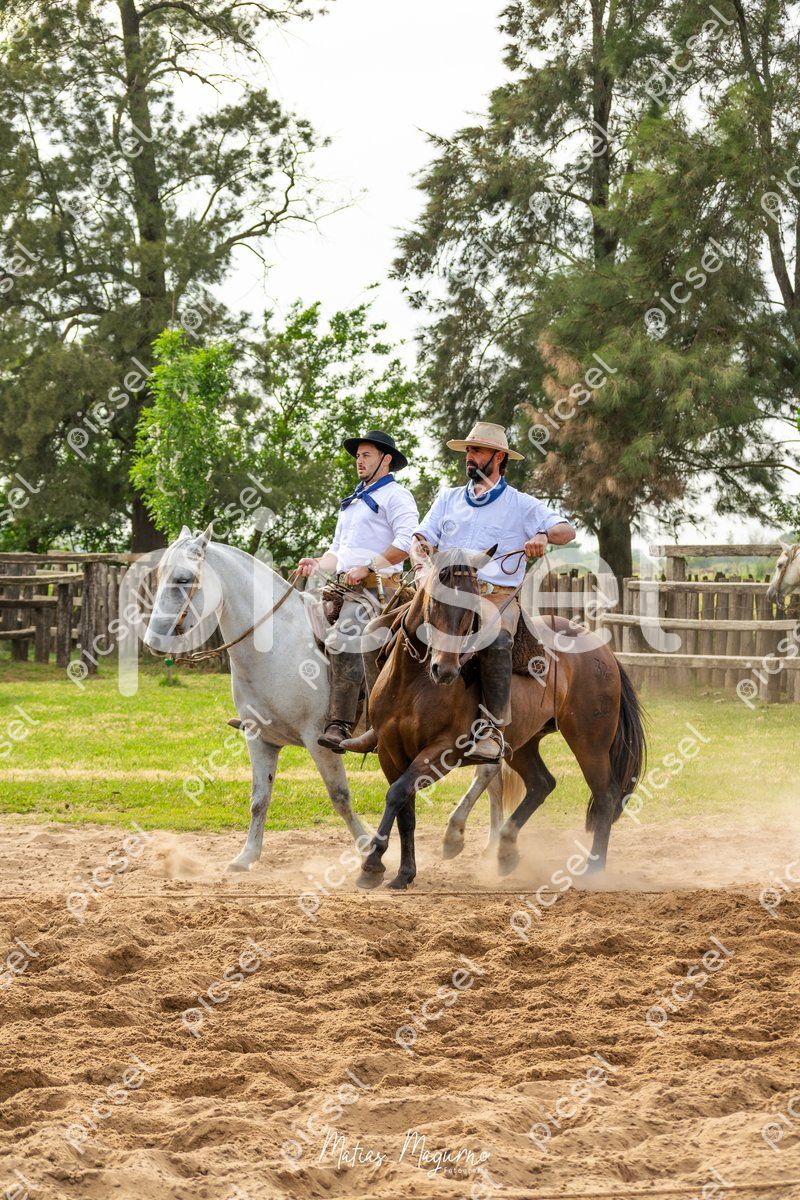 Photo of msipbqr7qh87ahvbute9bg1k