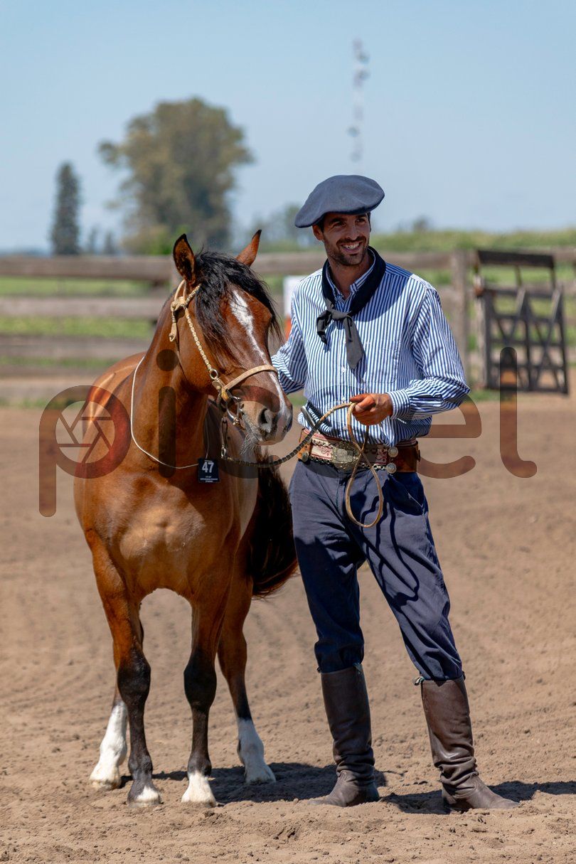 Photo of bc8h4j00qy1825wh4l45lm5p