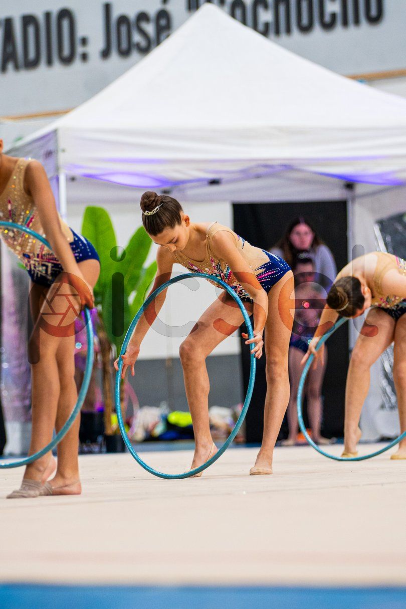 Photo of zx0u6xy166yf65ns5nxxdl1s