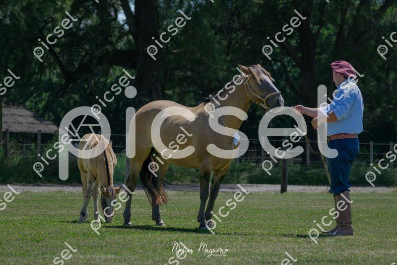 Photo of s9bgb2ipjzcx5qelq78faxr7