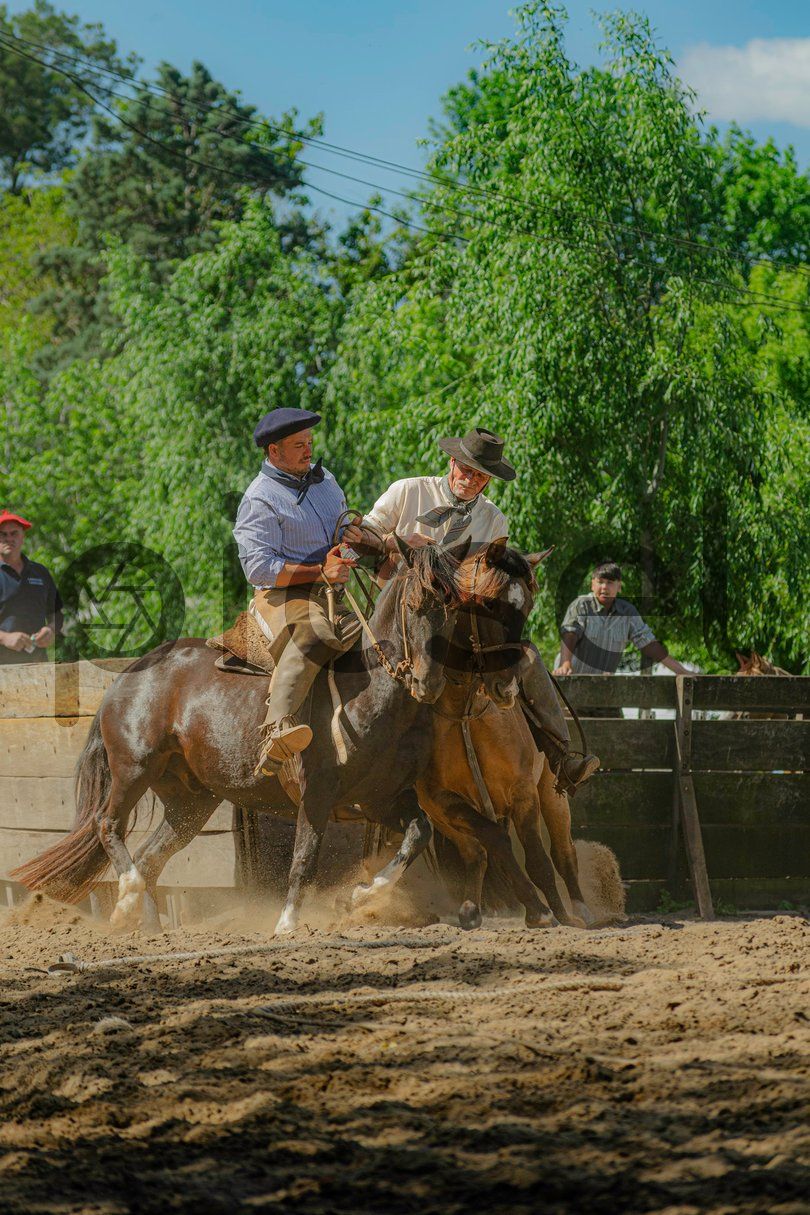 Photo of hzsfhfd1jh1m24zv41uixwo8