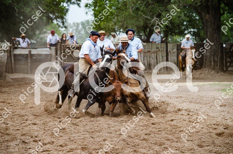 Photo of xt69ghp27plye95hhwodb9fm