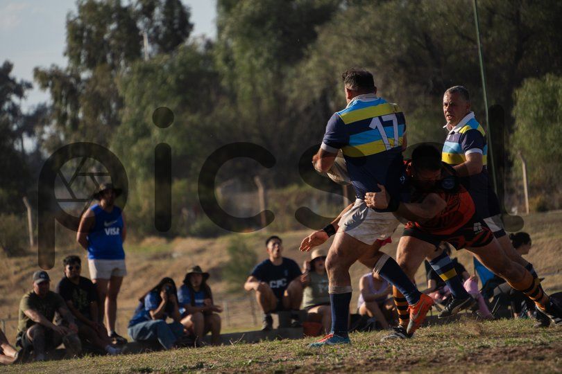 Photo of ms91peon24vcbd7yd5alz3sg