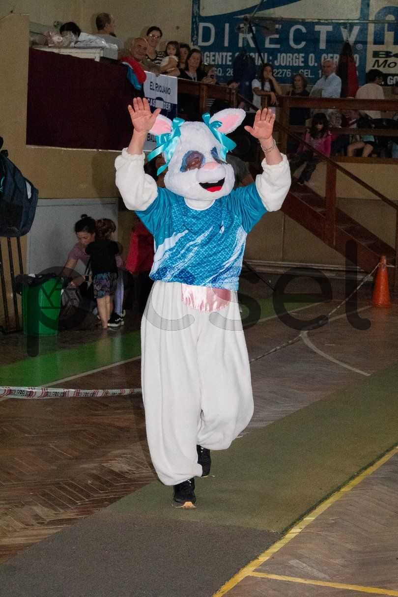 Photo of oefs8ev3hfcxyil0lr1al35v