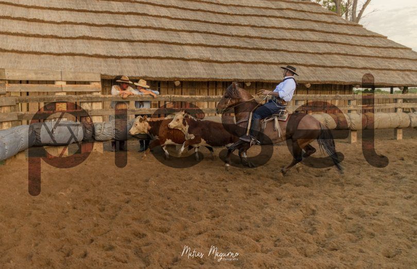 Photo of ie05k0gp2ps27twcqk1xa335