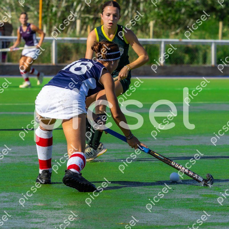 Photo of tizcf57d6nj6i8ulxp9j5ydx