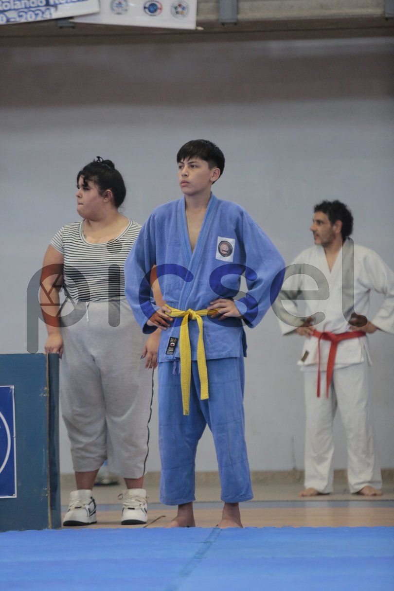 Photo of n52do6b7i2wcb0jvg6y4pnnp