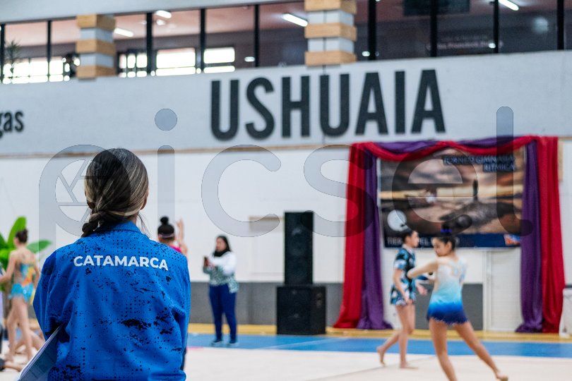 Photo of frixgjgyqevquoz6ex4q0mgz