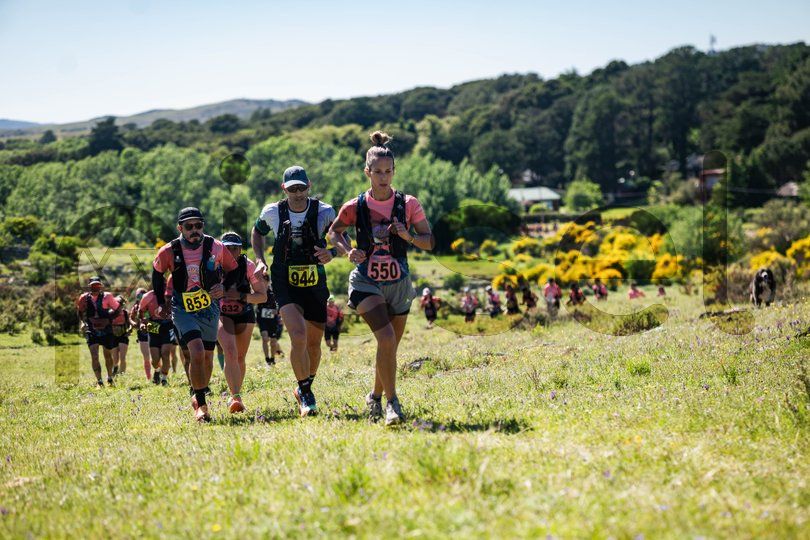 Photo of or77bedf40c07v64t0eqaq9o