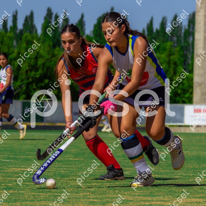 Photo of hm1lsdxifha7jv278g4cqg1i