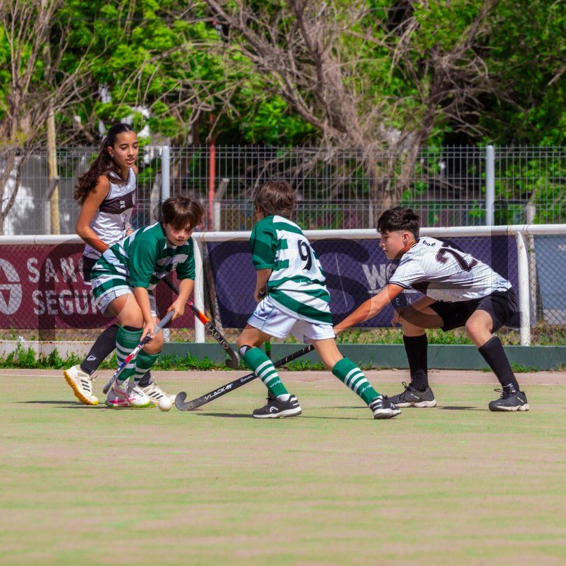 Photo of tebs1rjha6fox8vur0a5b33s