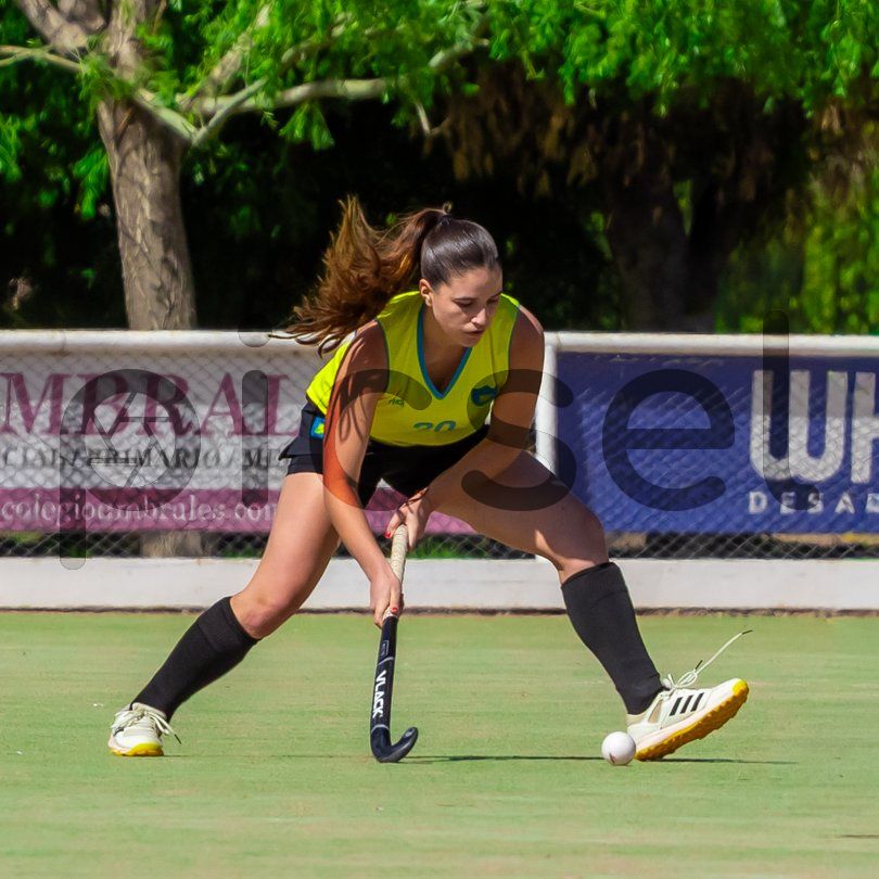 Photo of a9muiyngq9q4kcbrdy4dimtt