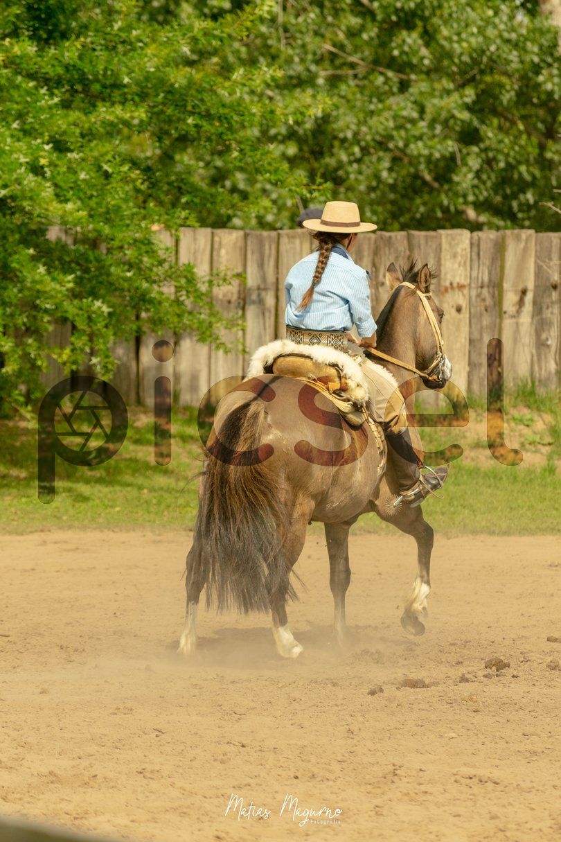 Photo of d535ono4lo6nq4jb0pdeeo7q