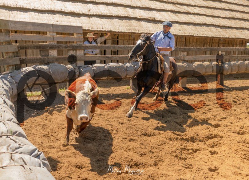 Photo of u3qo4sz5hm908cfacjam2ddx