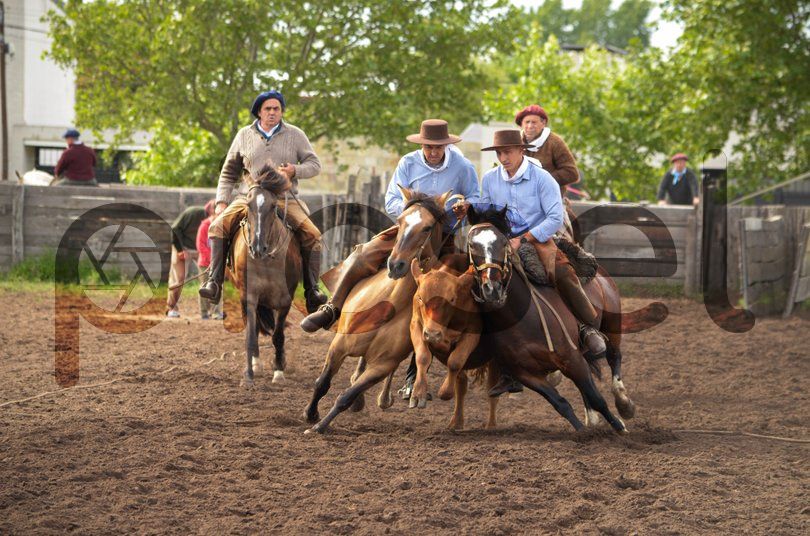 Photo of wpspzf48mgej98949i7upfl0