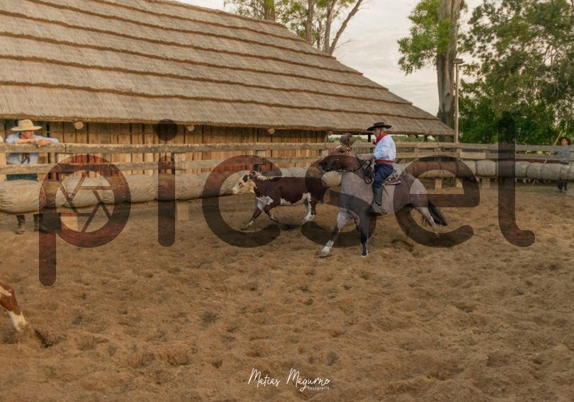 Photo of v0eigu98z72nmazuwz610r3o