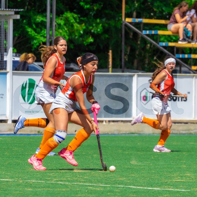 Photo of mf6ff9abcdm9e5v5aw86x37u