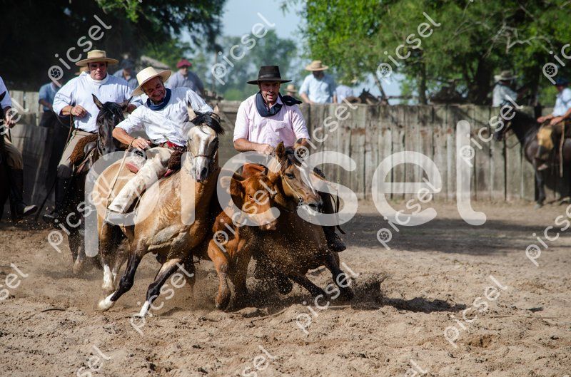 Photo of yuwbp0ouevcgchoxtlasqr79