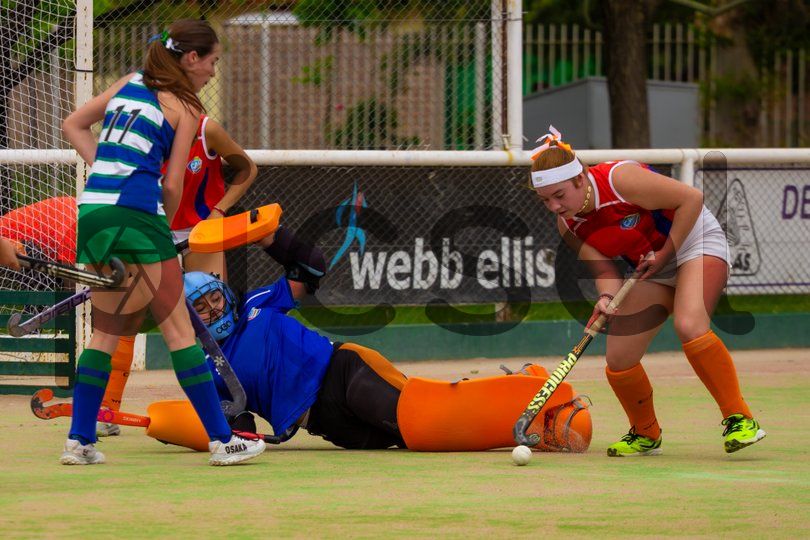 Photo of yj94v99e4btrw6vj0k0k9vow