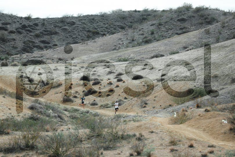 Photo of reptlc8sgn83yejk4avzovin